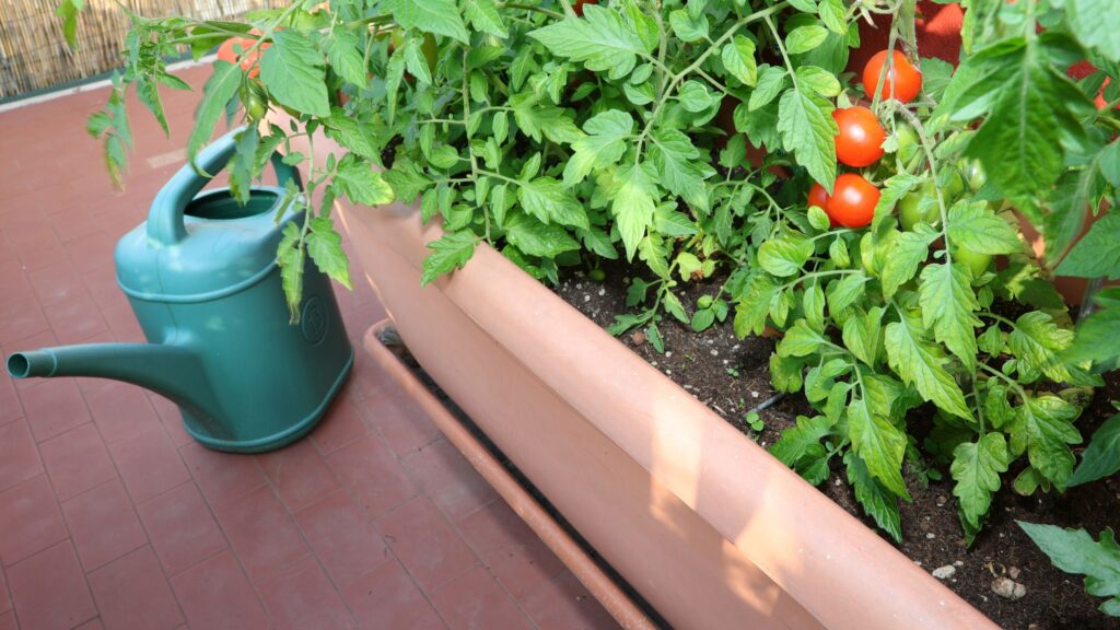 Mini potager au balcon