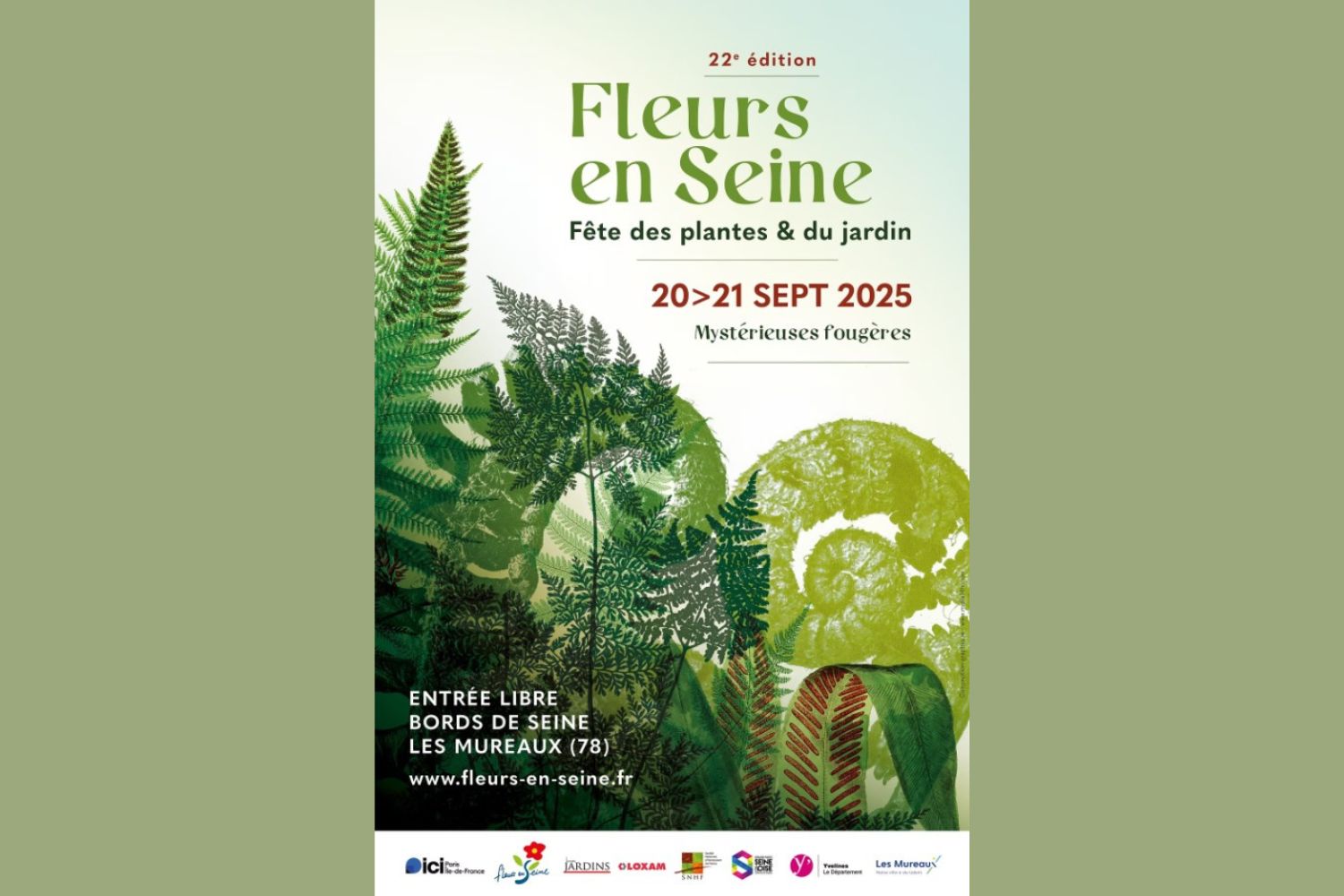 Affiche Mystérieuses fougères