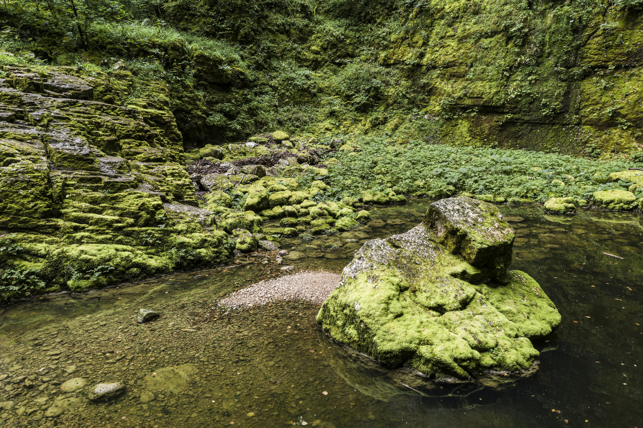 Still water and stones covered by moss at Nans-sous-sainte-Anne, Pit cave "Le Creux Billard" near to the Lison source, Jura, Doubs, France