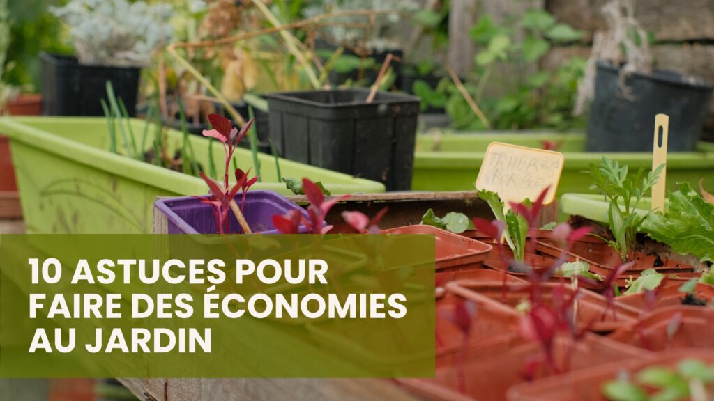 10 astuces pour faire des économies au jardin