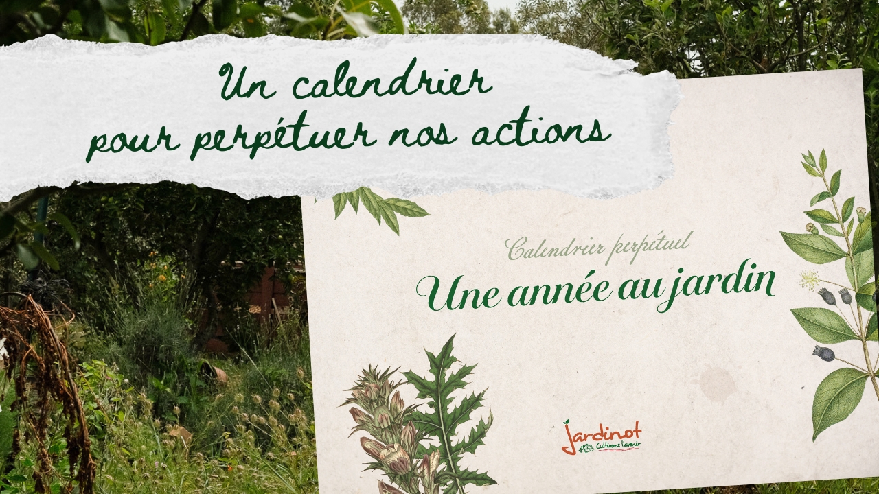Calendrier perpétuel solidaire