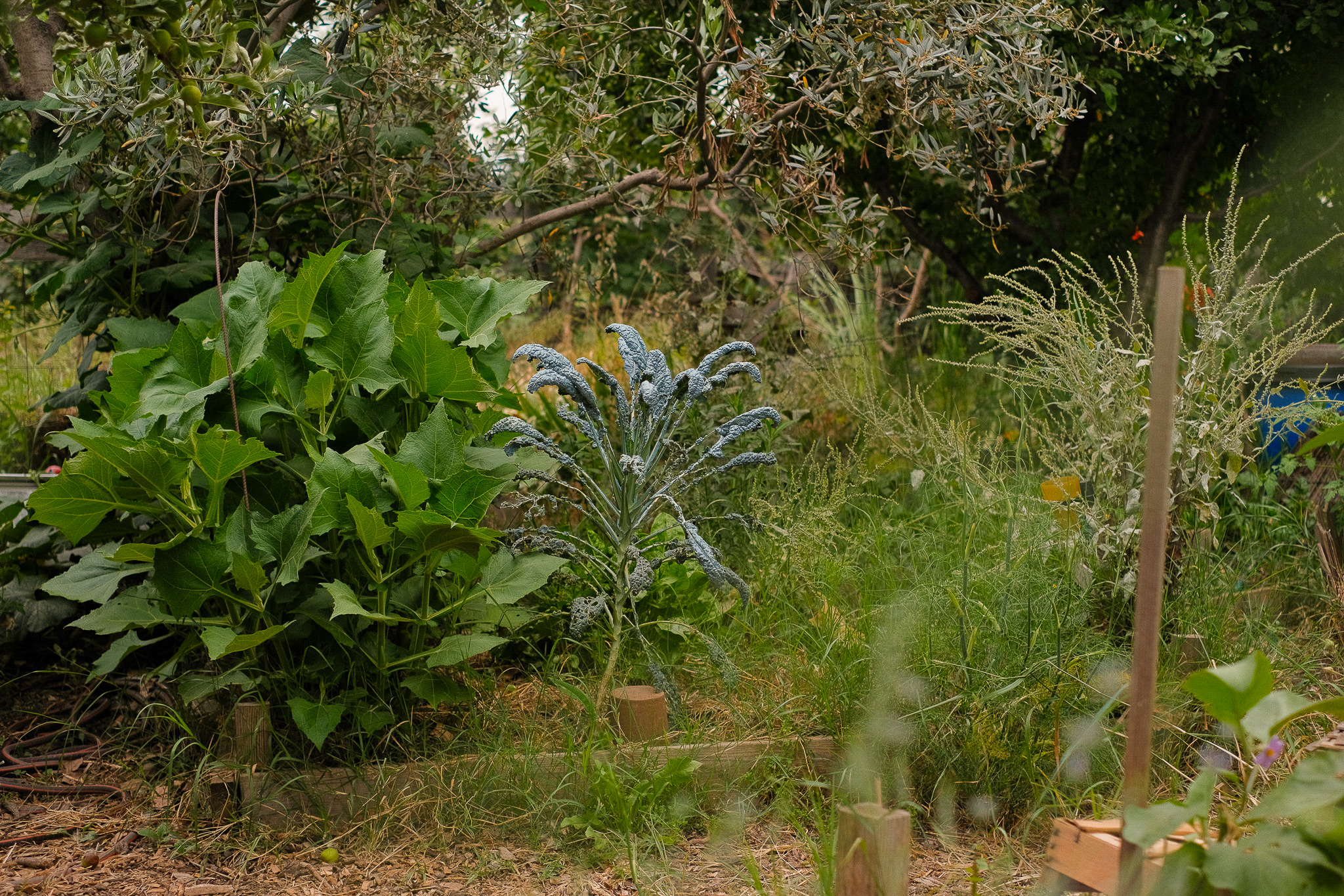 Jardin-école Jardinot de Marseille
