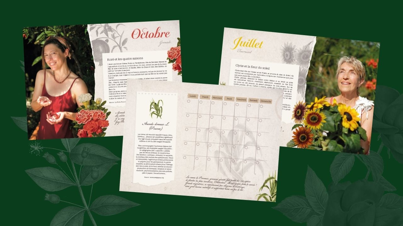 Calendrier perpétuel Jardinot Marseille