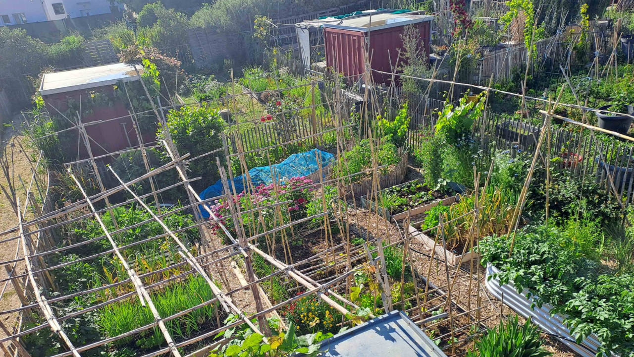 CATÉGORIE 2 _ JARDIN POTAGER DANS UN ENSEMBLE COLLECTIF DE JARDINS GRAND PRIX _ Fabienne VÖLLMY Jardins familiaux de la Parette à Marseille (Bouches-du-Rhône) CATÉGORIE 2 _ JARDIN POTAGER DANS UN ENSEMBLE COLLECTIF DE JARDINS GRAND PRIX _ Fabienne VÖLLMY Jardins familiaux de la Parette à Marseille (Bouches-du-Rhône)