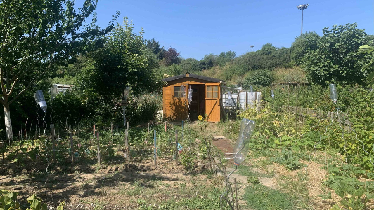 CATÉGORIE 2 _ JARDIN POTAGER DANS UN ENSEMBLE COLLECTIF DES JARDINS Nominé _ Evariste RATTINA – JARDINS FAMILIAUX de Wissous (Essonne) CATÉGORIE 2 _ JARDIN POTAGER DANS UN ENSEMBLE COLLECTIF DES JARDINS Nominé _ Evariste RATTINA – JARDINS FAMILIAUX de Wissous (Essonne)