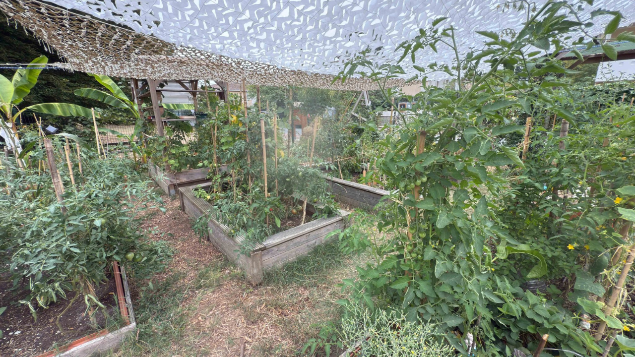 CATÉGORIE 5 _J ARDINS PARTAGÉS, mis en place et cultivés au sein d’une entreprise ou par une association GRAND PRIX _ Caroline LE FLOCH – Les Jardiniers de la Forêt Nourricière à Villenave-d’Ornon (Gironde) CATÉGORIE 5 _J ARDINS PARTAGÉS, mis en place et cultivés au sein d’une entreprise ou par une association GRAND PRIX _ Caroline LE FLOCH – Les Jardiniers de la Forêt Nourricière à Villenave-d’Ornon (Gironde)