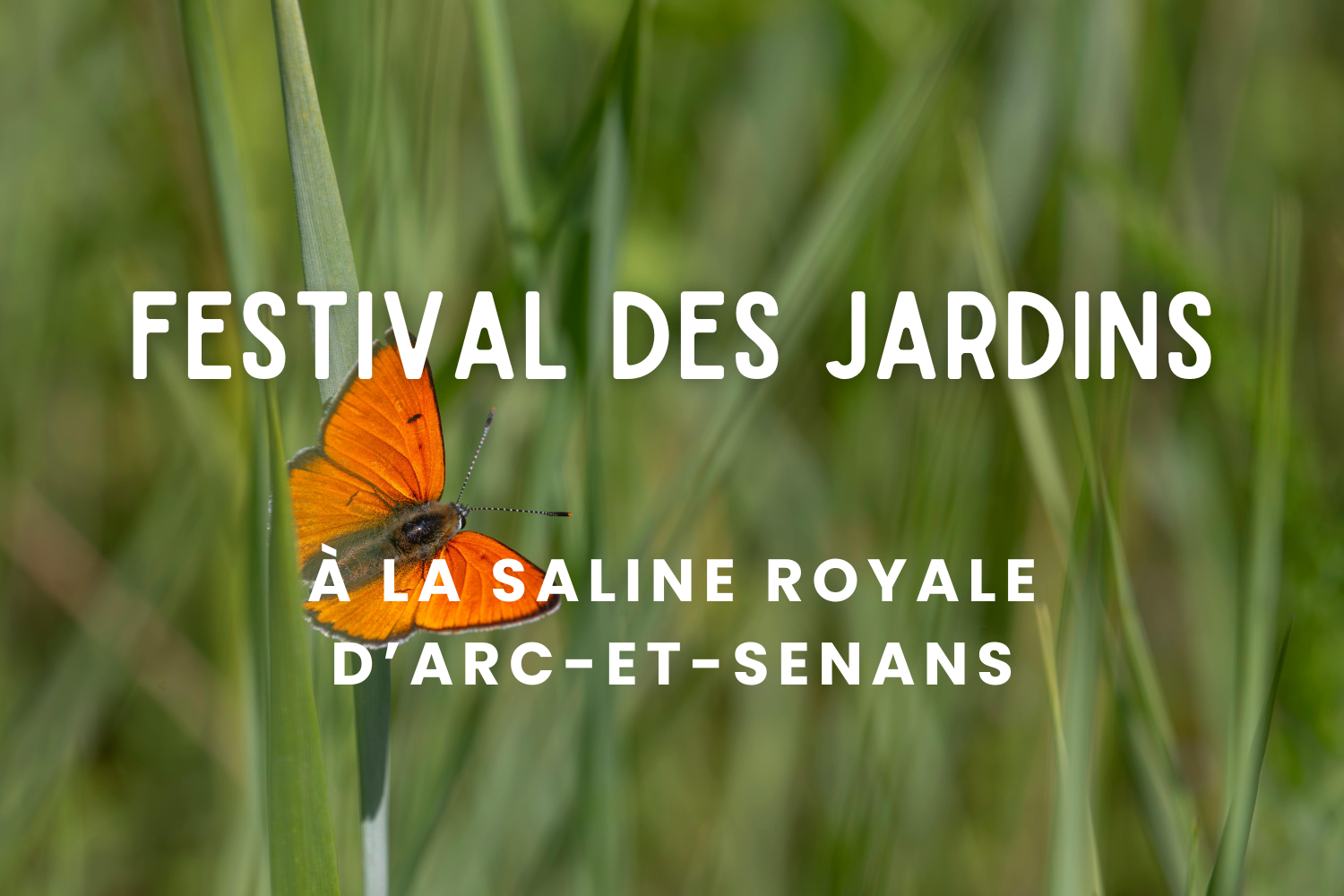 Festival des jardins