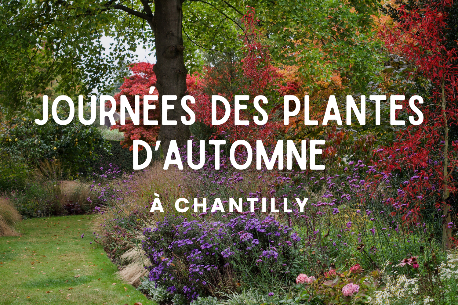 Chantilly