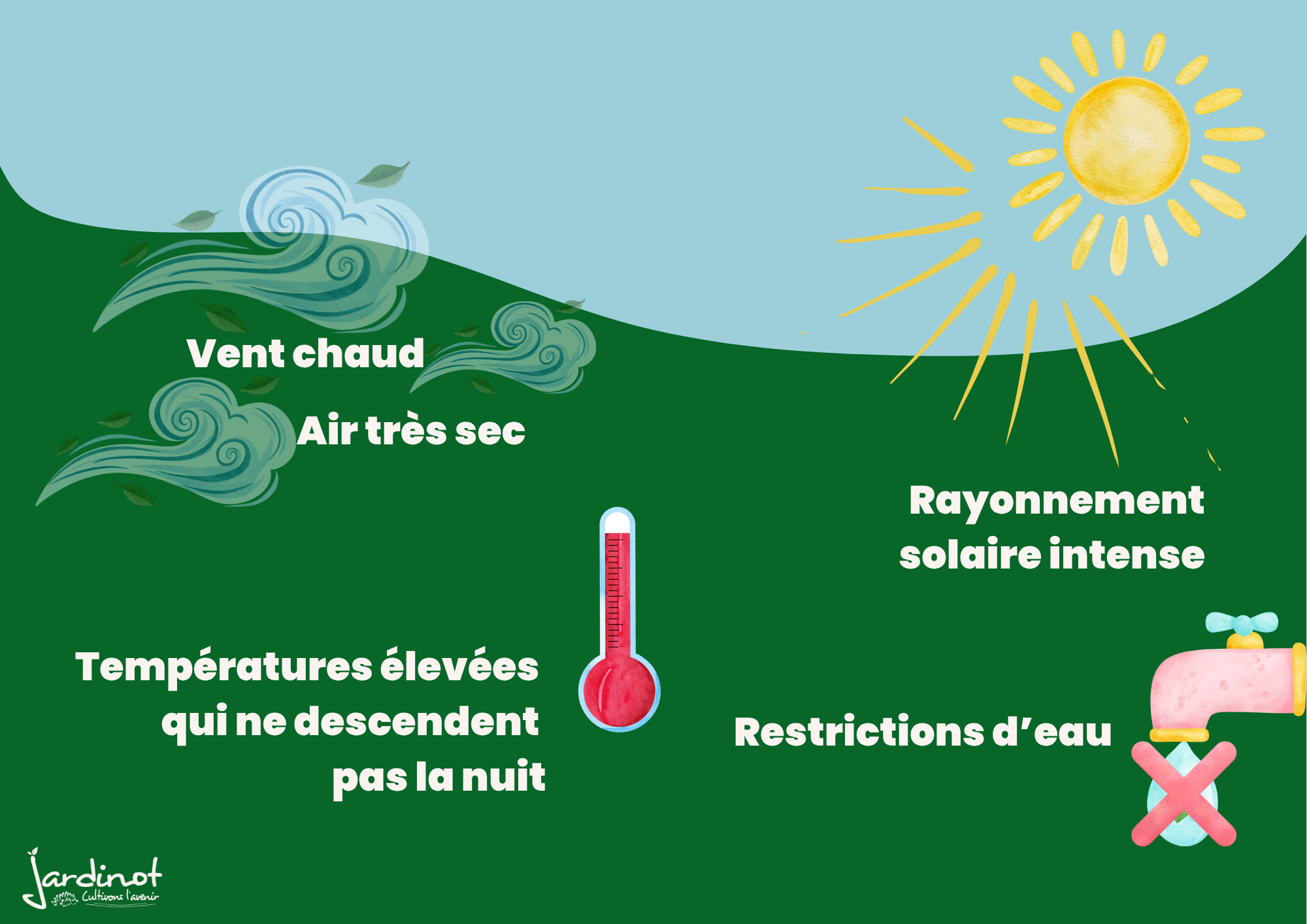 Que se passe-t-il au jardin pendant la canicule ?