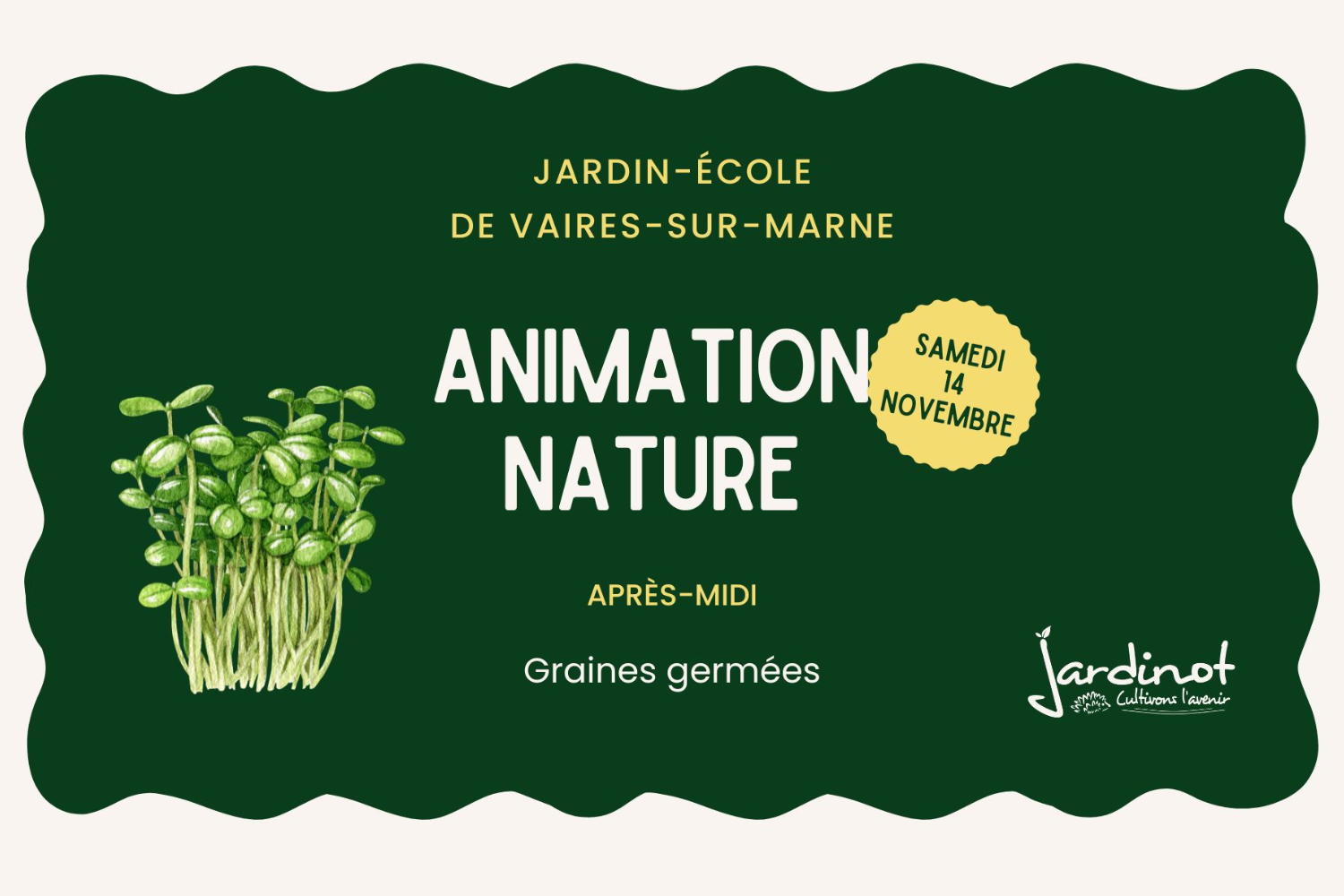 Graines germées à Vaires