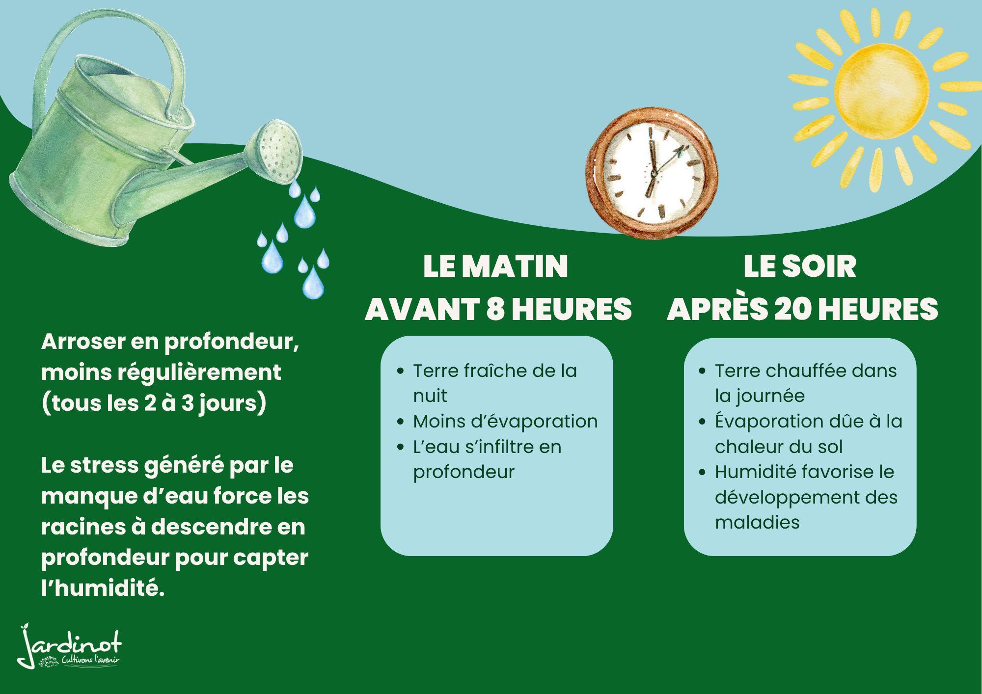 Arroser pendant la canicule