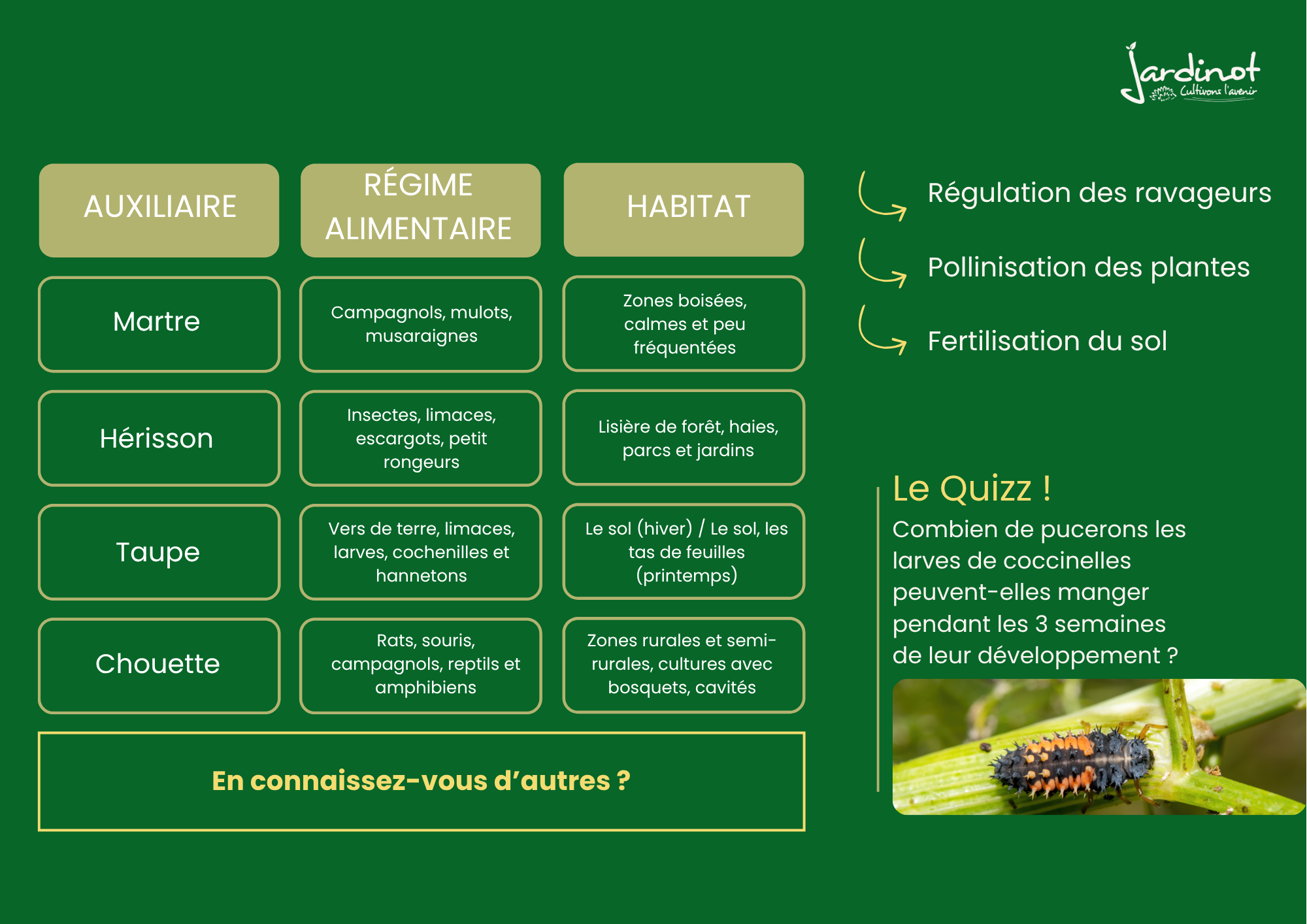 Les auxiliaires au jardin : une aide qui ne se refuse pas !