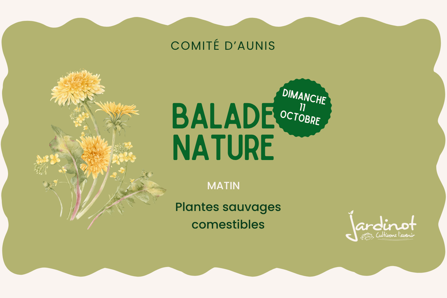 Balade nature plantes sauvages comestibles