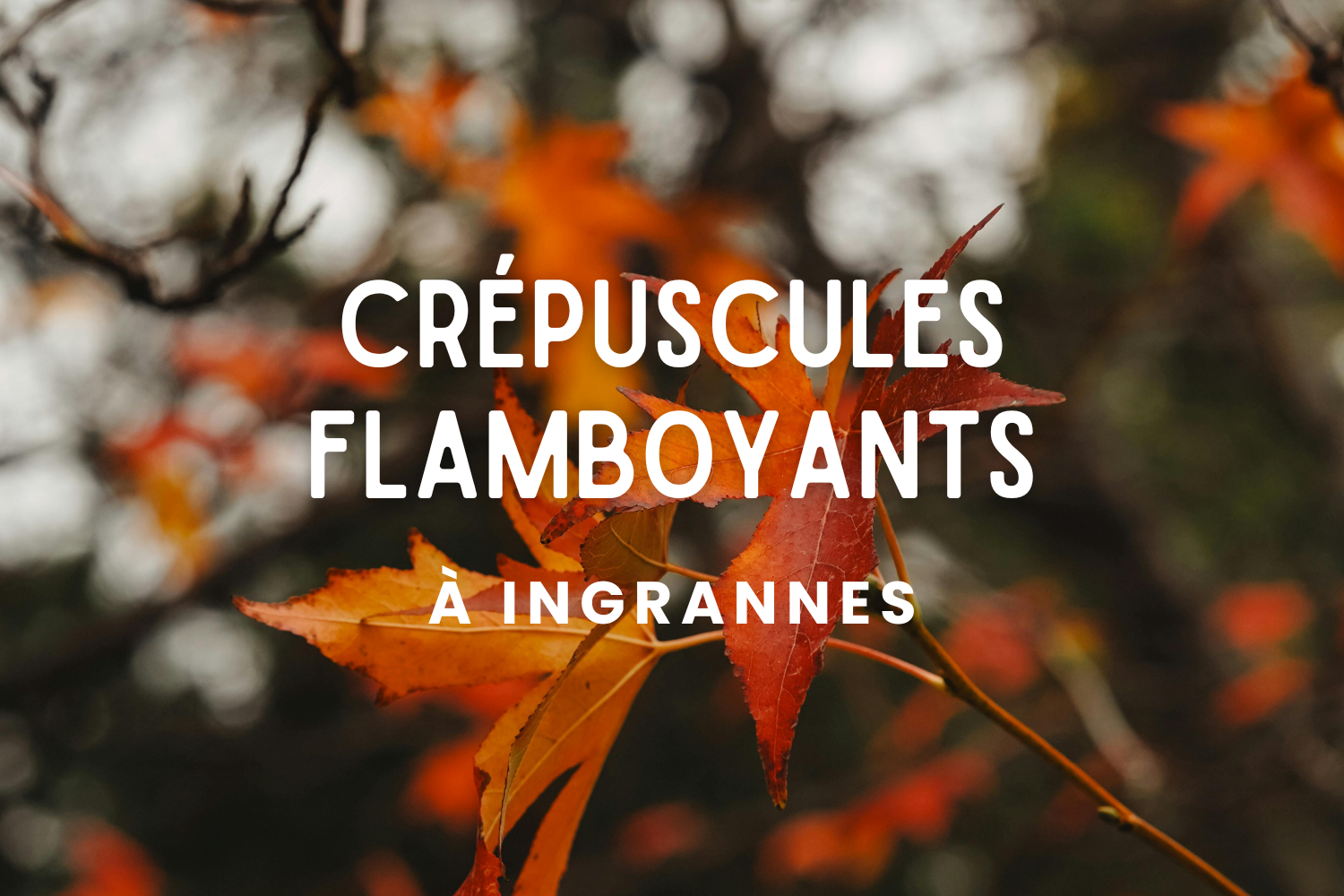 Crépuscule flamboyant à Ingrannes