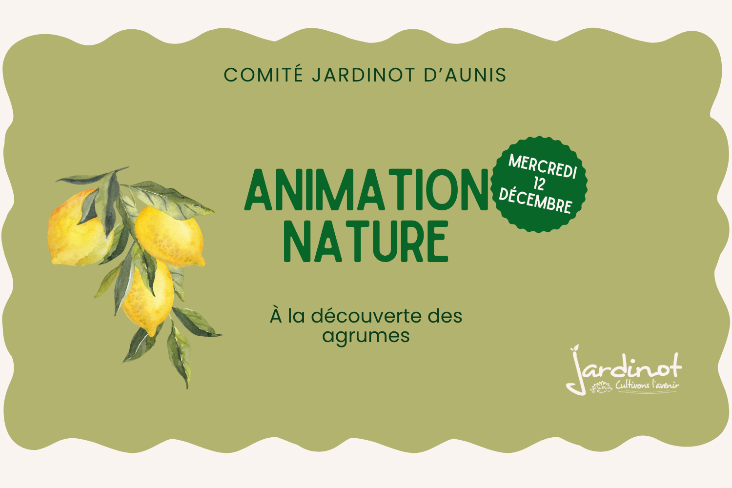 À la découverte des agrumes