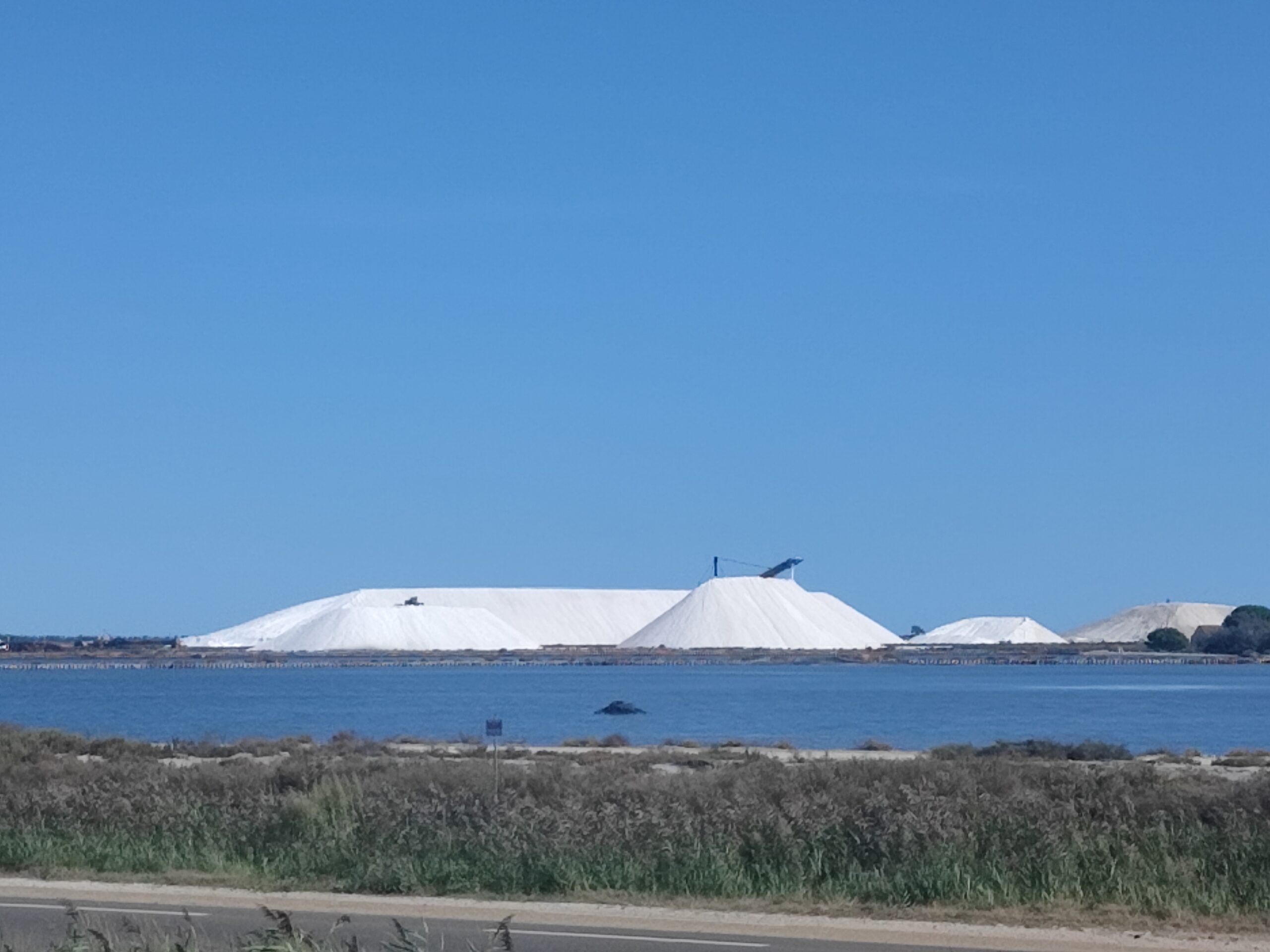 Salin du midi
